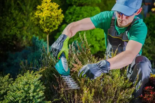 landscaping services Norfolk